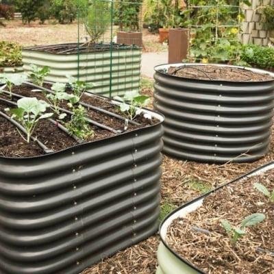 Epic Gardening