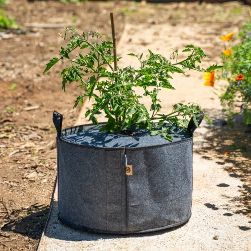 Epic Gardening 4 (3)