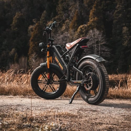 Goat Power Bikes 2 (2)