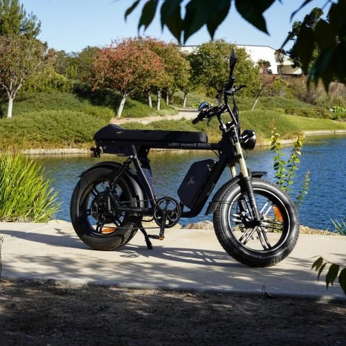 Goat Power Bikes 3 (2)