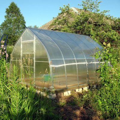 YourGreenhouses 4